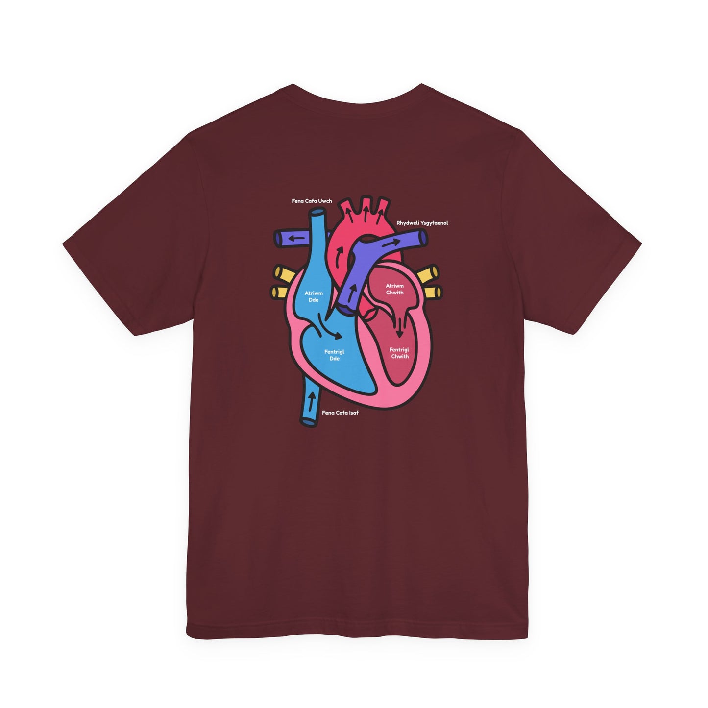 Anatomical Heart Graphic Tee - Welsh Labeled Heart Diagram T-Shirt