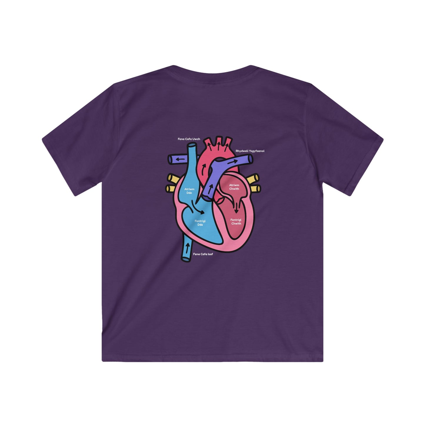 Kids Heart Anatomy Tee - Welsh Labeled Heart Diagram