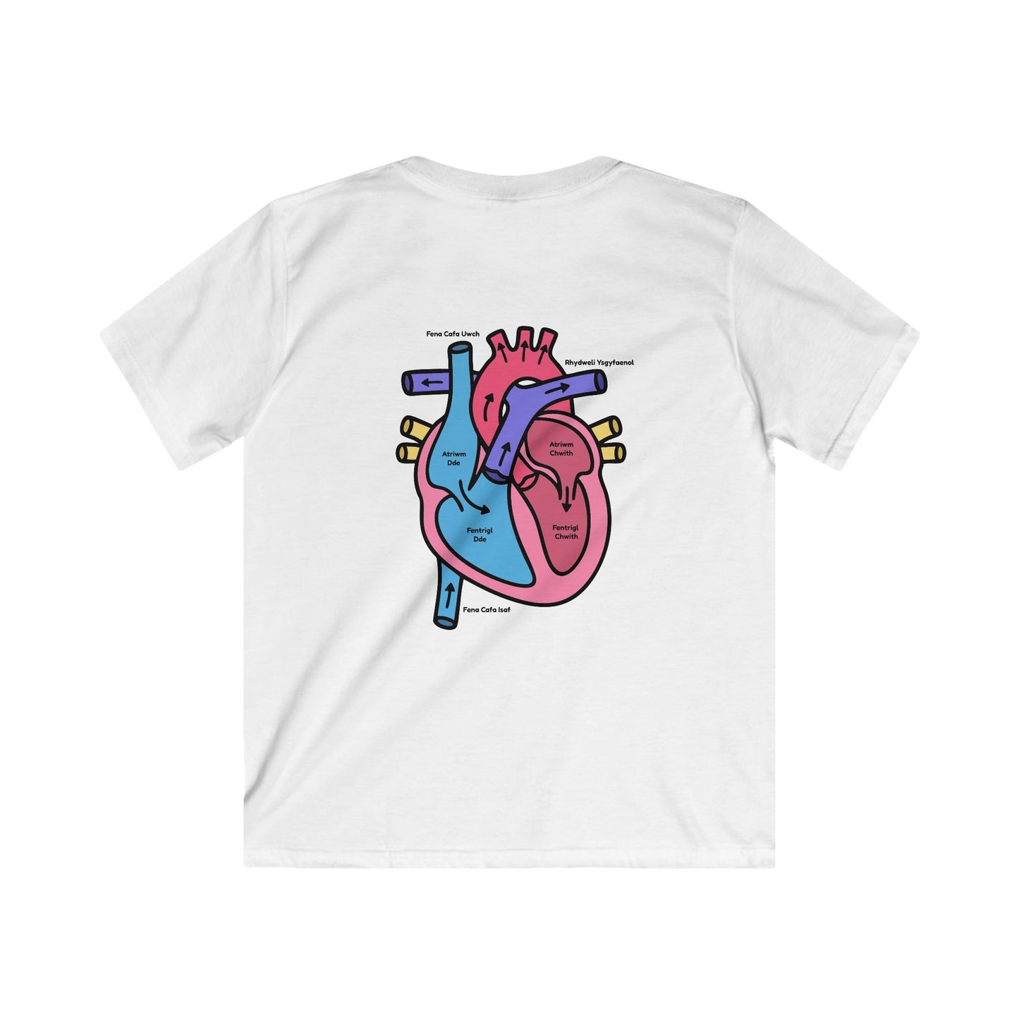 Kids Heart Anatomy Tee - Welsh Labeled Heart Diagram