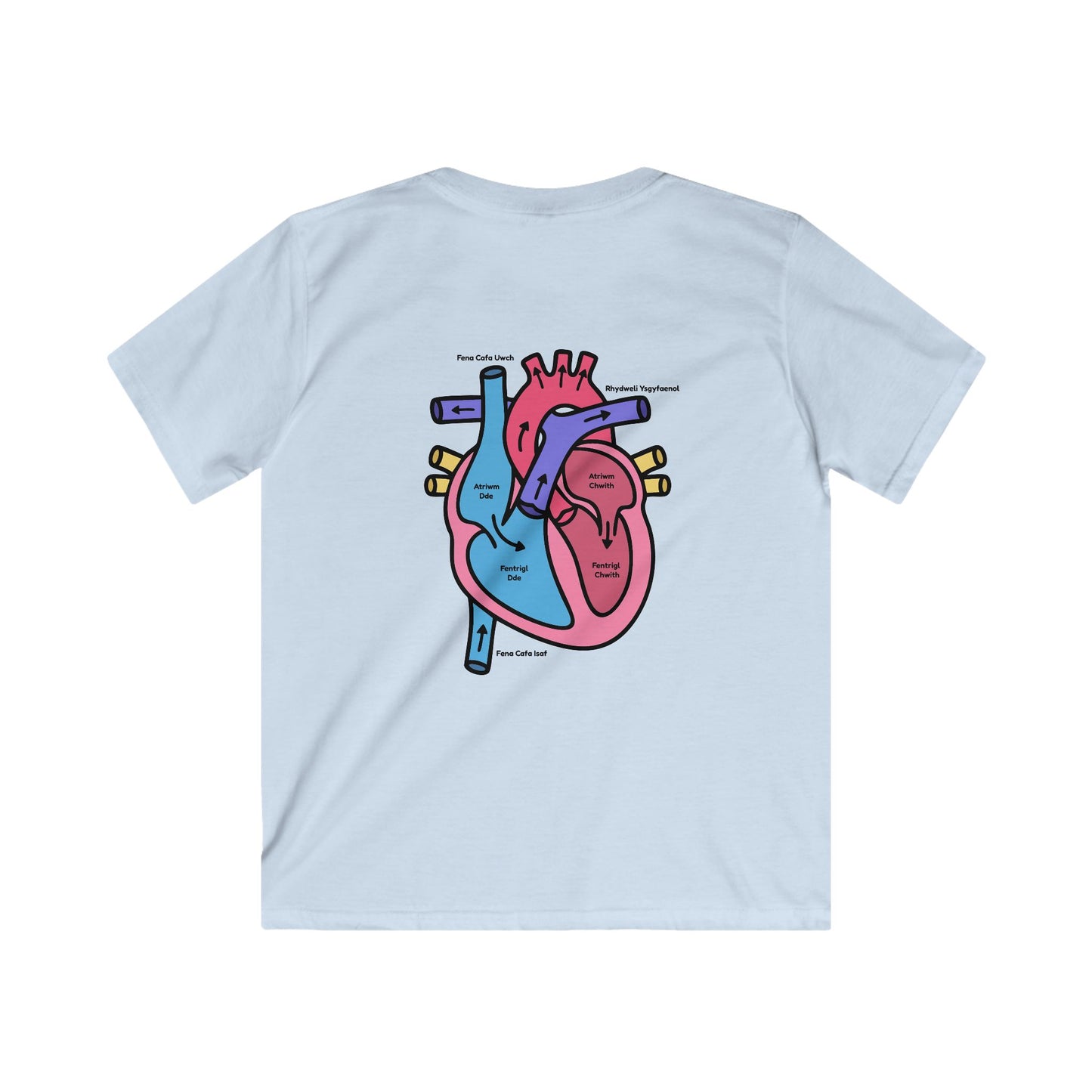 Kids Heart Anatomy Tee - Welsh Labeled Heart Diagram