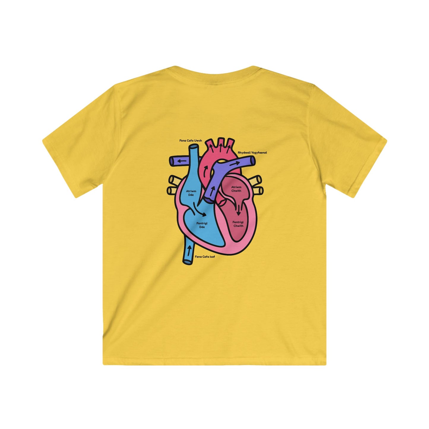 Kids Heart Anatomy Tee - Welsh Labeled Heart Diagram