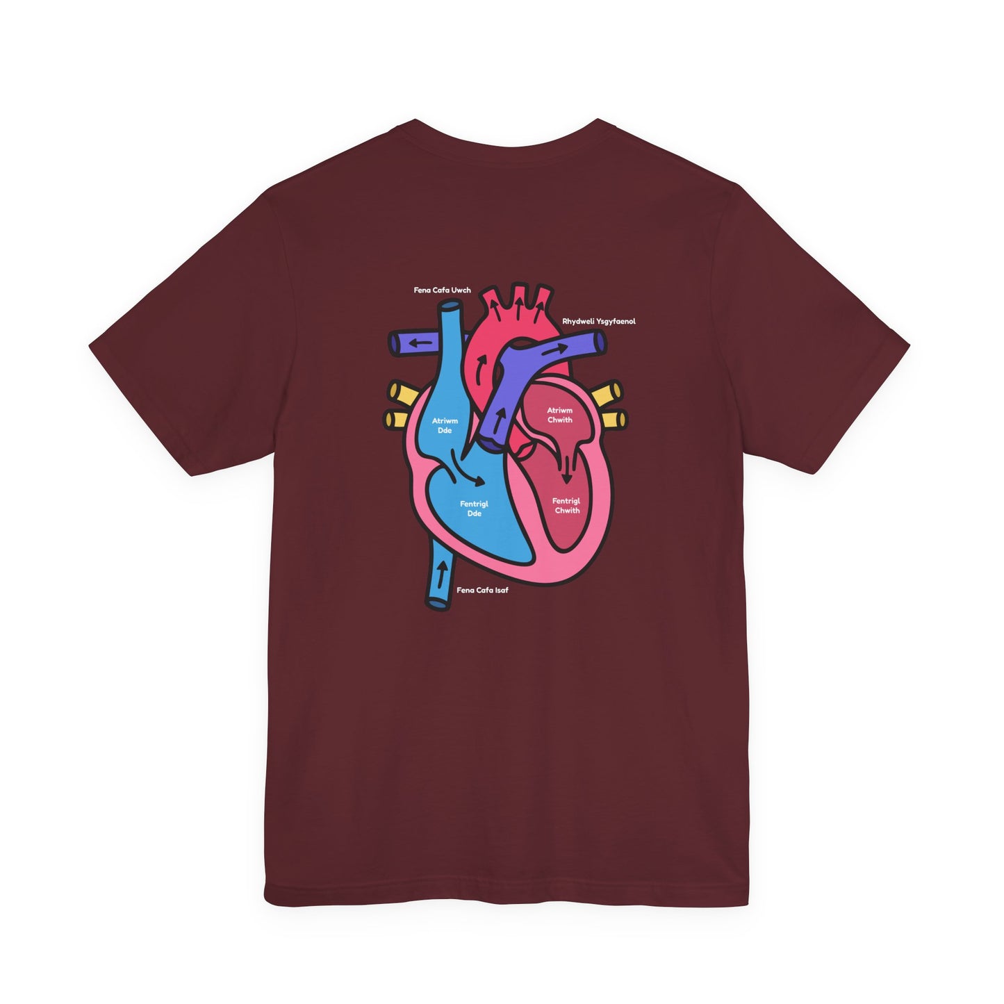 Anatomical Heart Graphic Tee — Welsh Labeled Heart Diagram T-Shirt