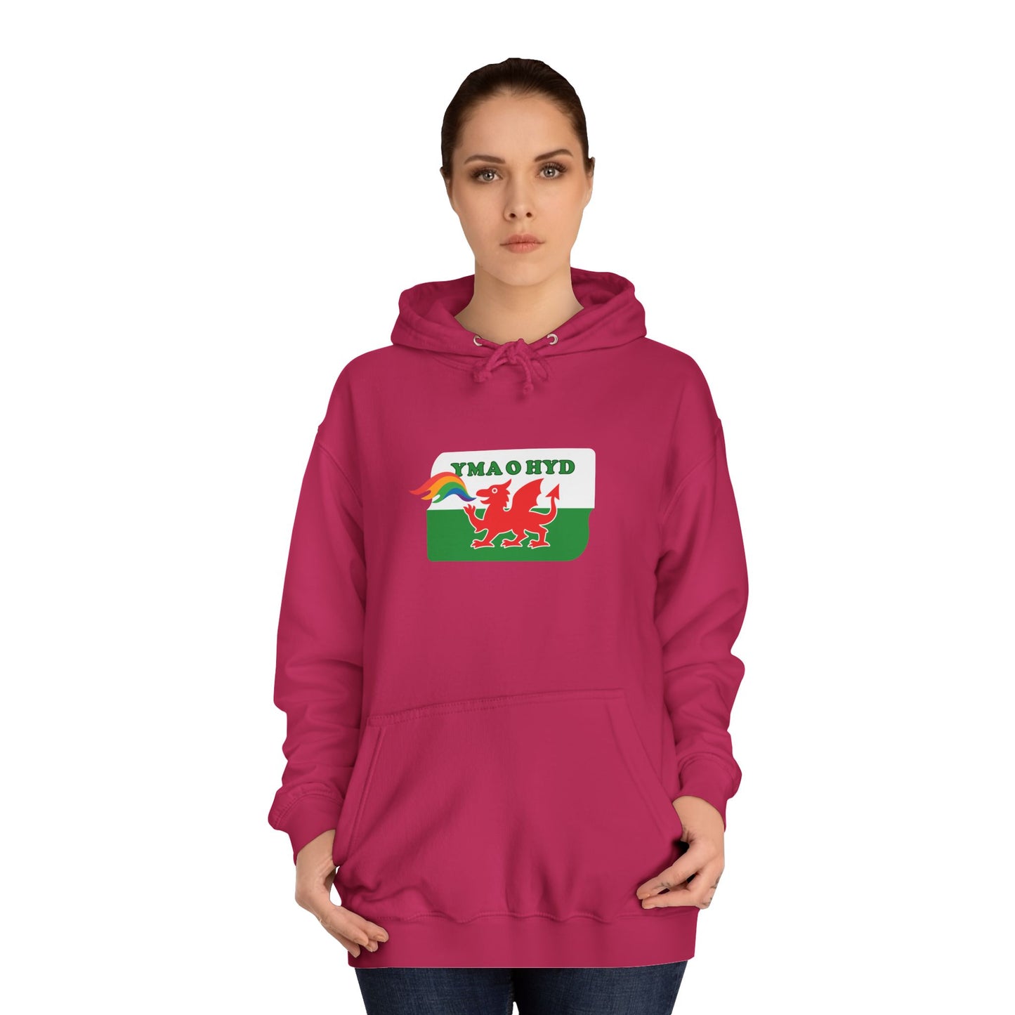 Pride Welsh Flag Hoodie (Unisex) - Yma O Hyd