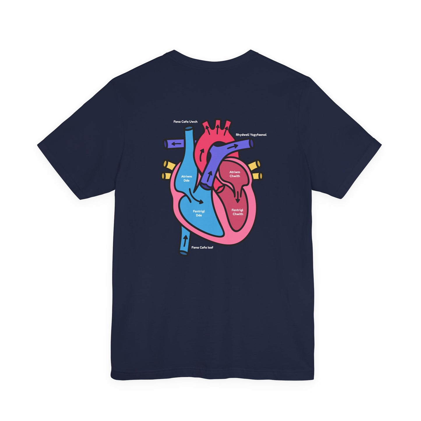 Anatomical Heart Graphic Tee — Welsh Labeled Heart Diagram T-Shirt
