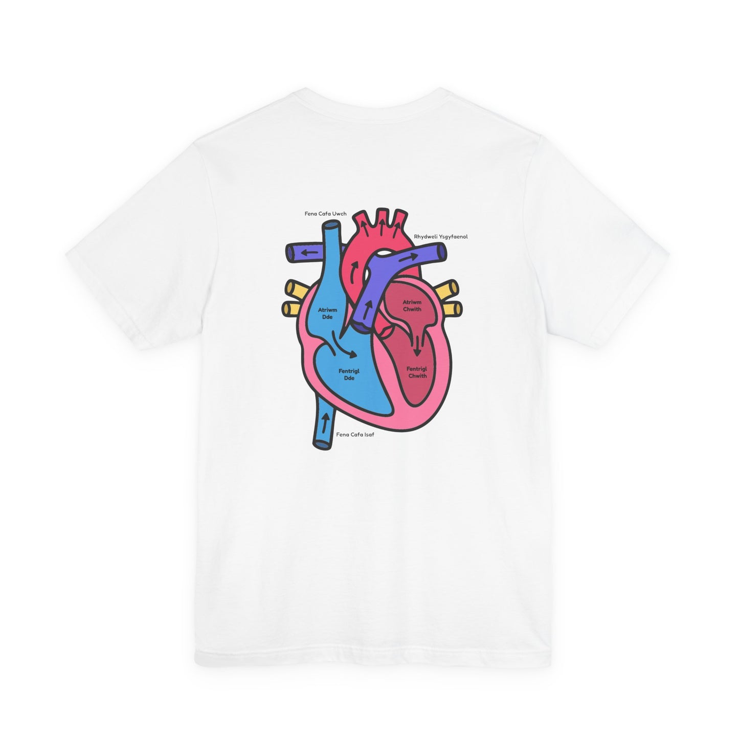 Anatomical Heart Graphic Tee — Welsh Labeled Heart Diagram T-Shirt