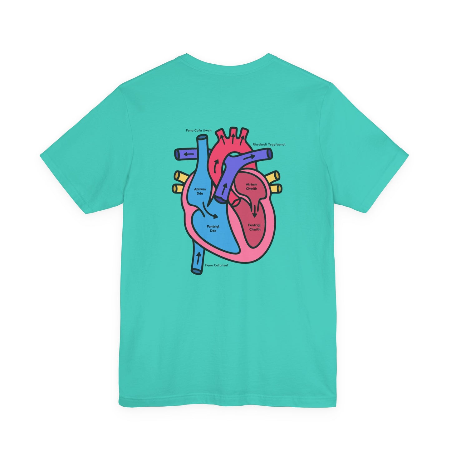 Anatomical Heart Graphic Tee — Welsh Labeled Heart Diagram T-Shirt
