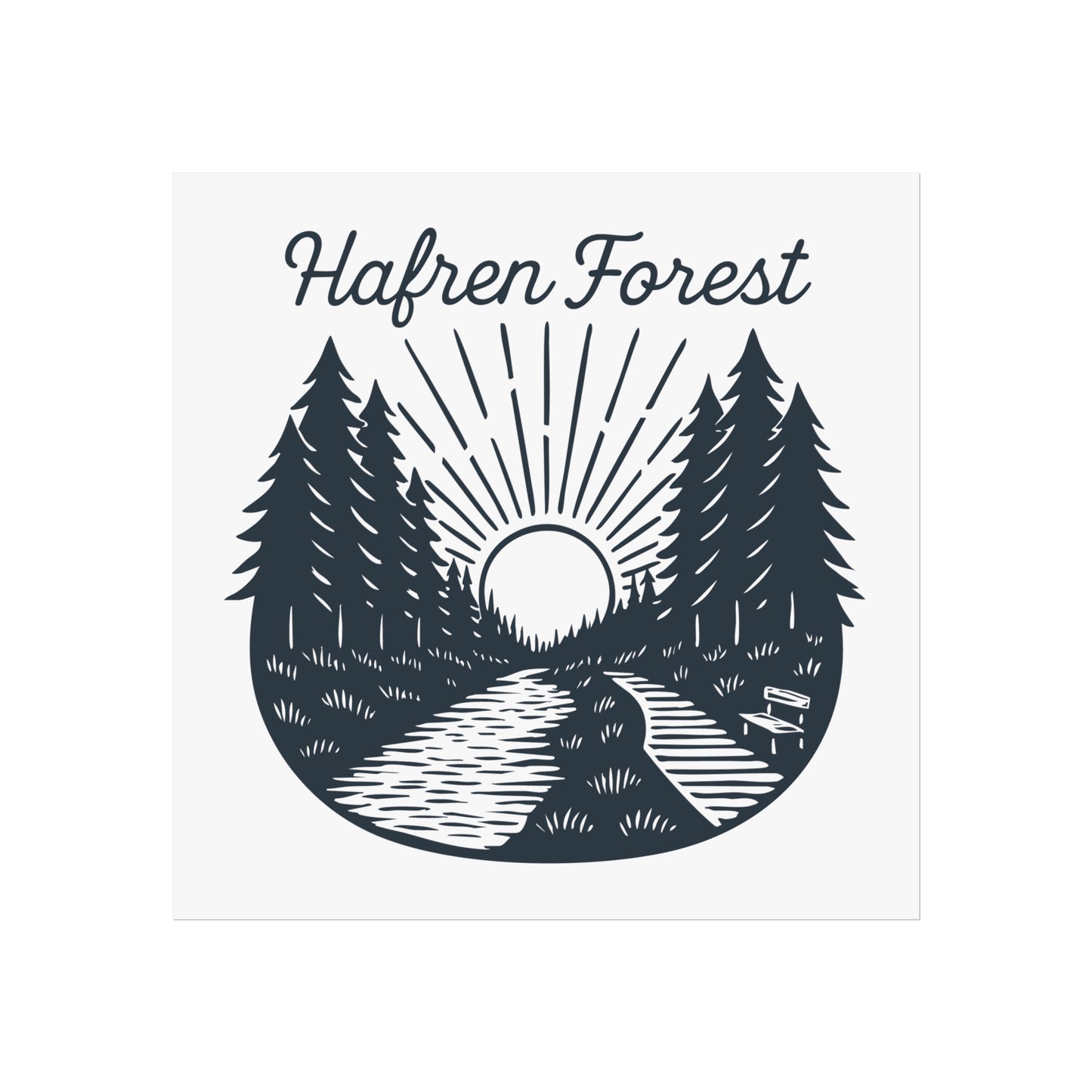 Hafren Forest Fine Art Poster — Sunlit Woodland Path Wall Art