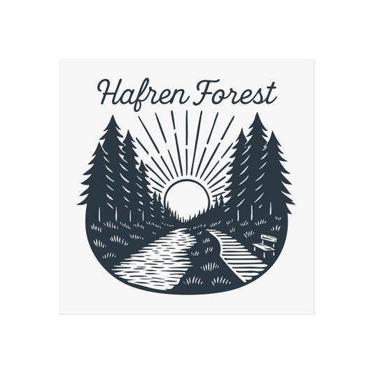 Hafren Forest Fine Art Poster — Sunlit Woodland Path Wall Art