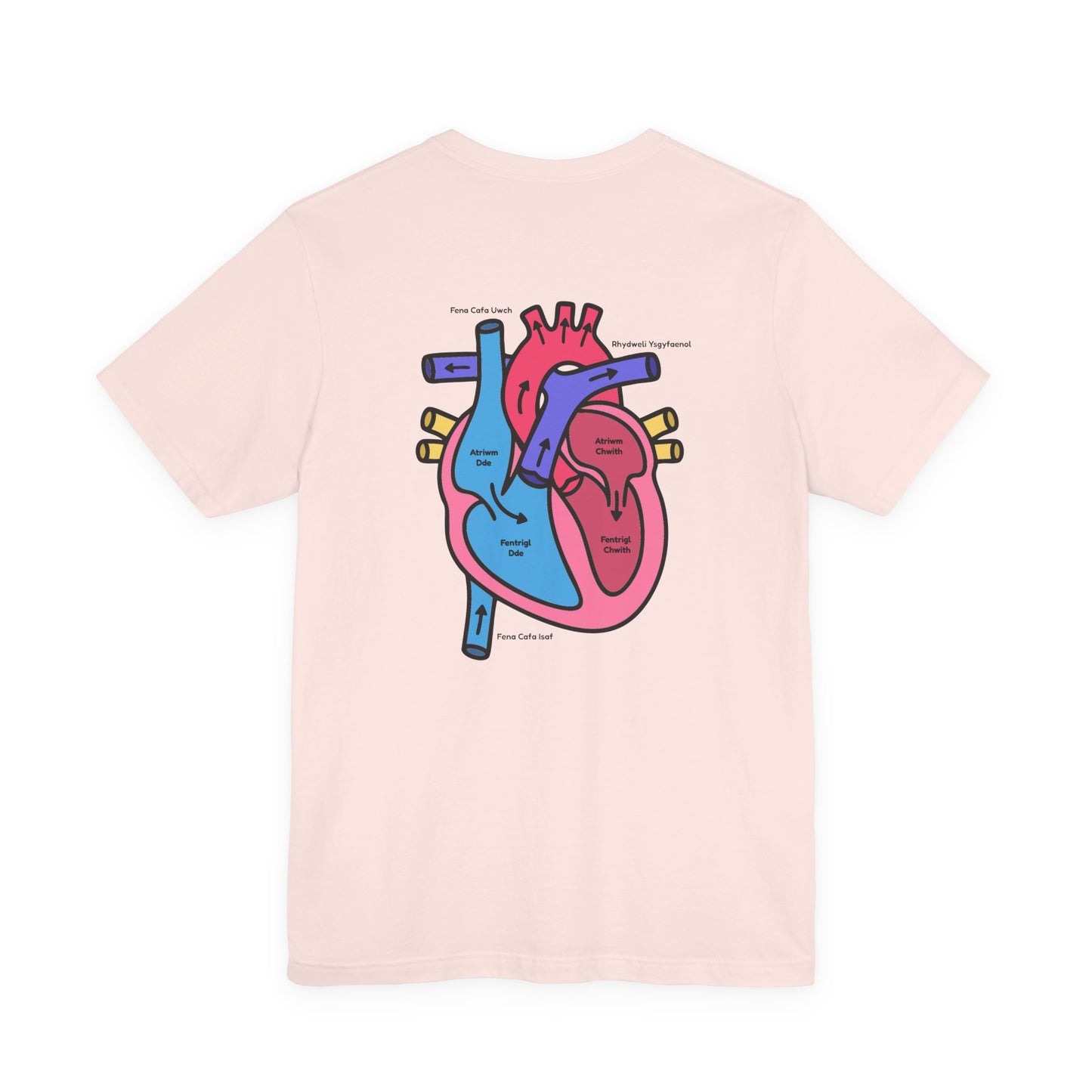 Anatomical Heart Graphic Tee - Welsh Labeled Heart Diagram T-Shirt
