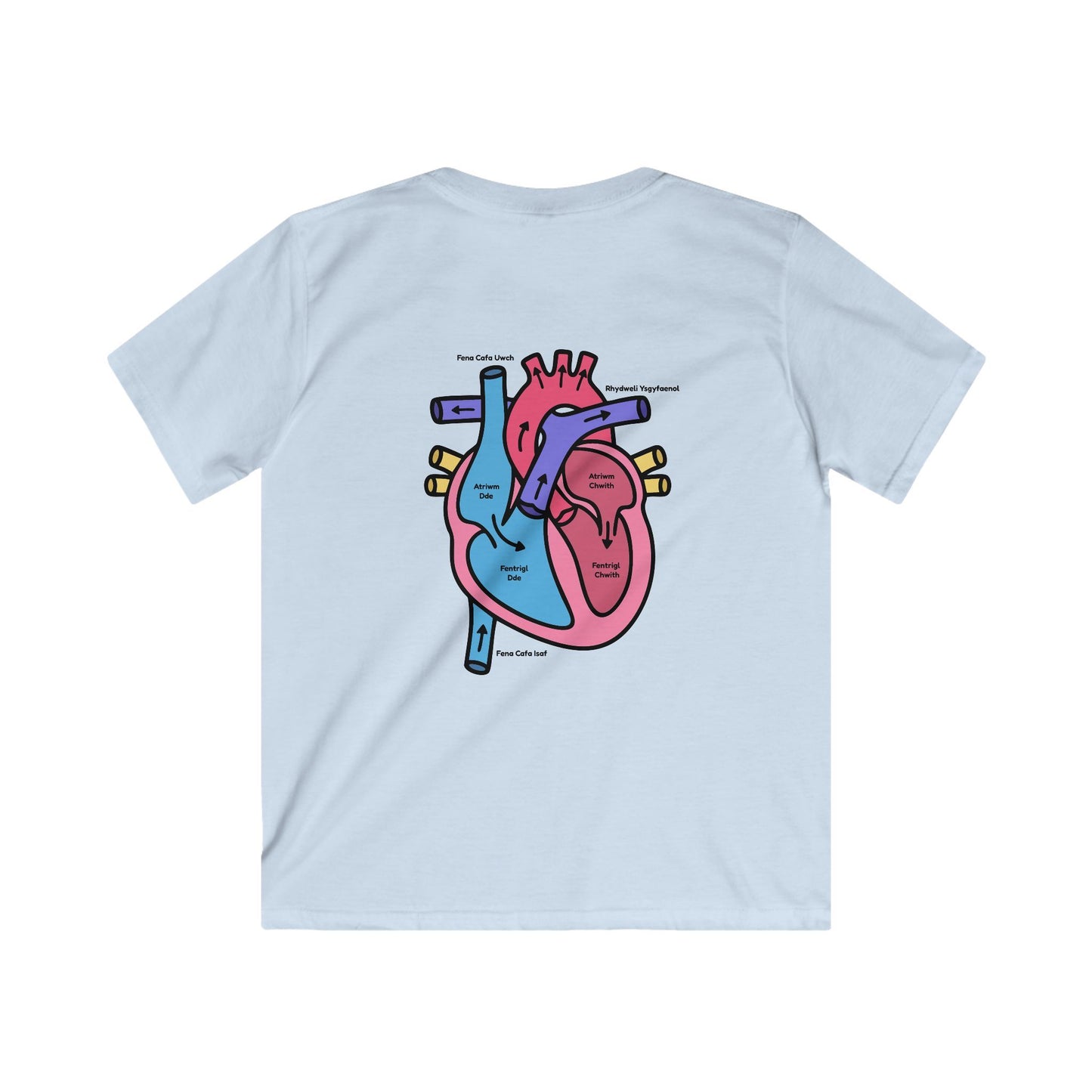 Kids Heart Anatomy Tee - Welsh Labeled Heart Diagram