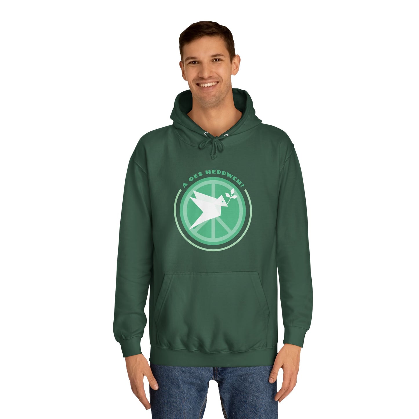 'A Oes Heddwch?' Retro Unisex Hoodie