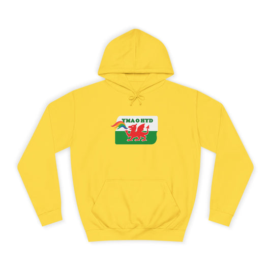 Pride Welsh Flag Hoodie (Unisex) - Yma O Hyd