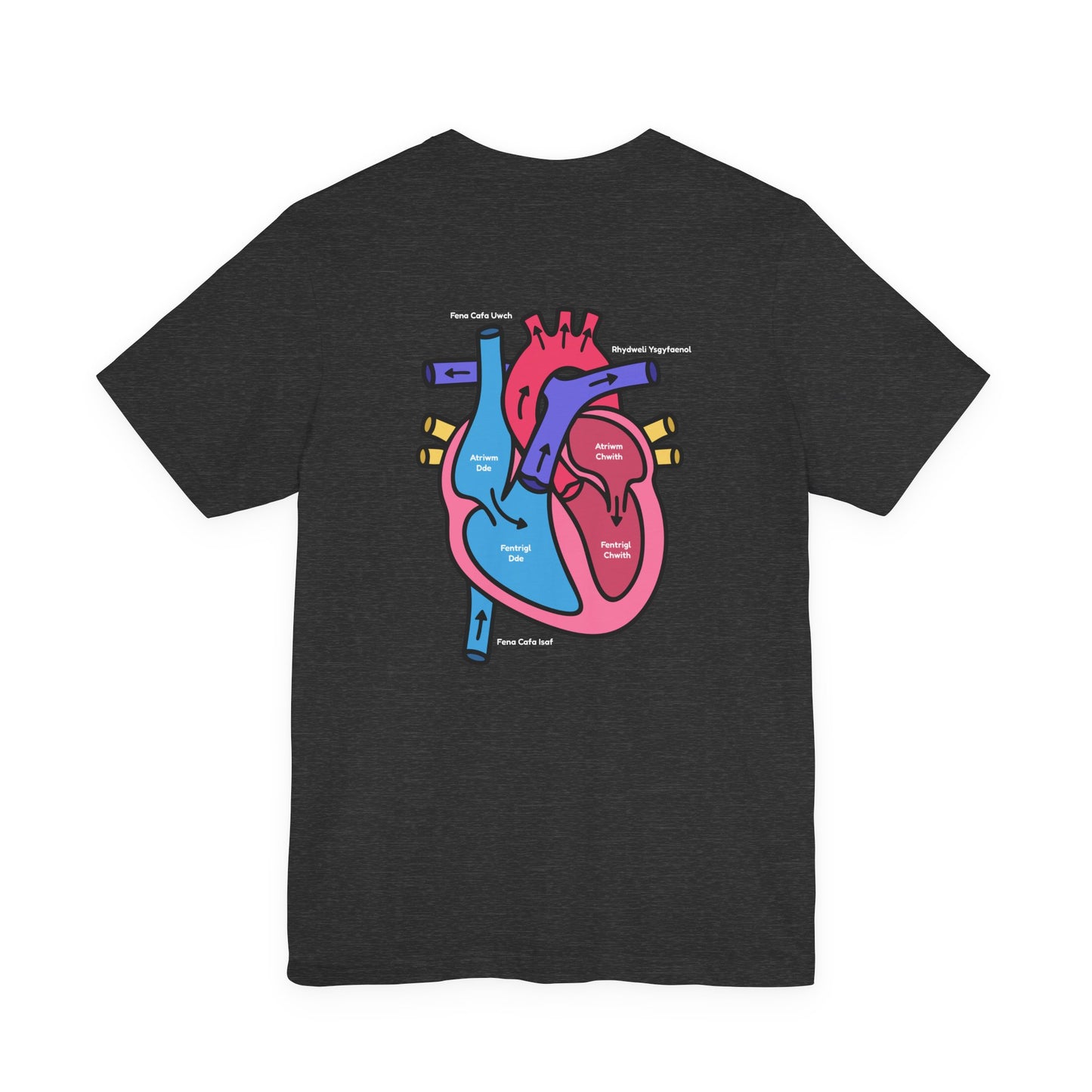 Anatomical Heart Graphic Tee — Welsh Labeled Heart Diagram T-Shirt