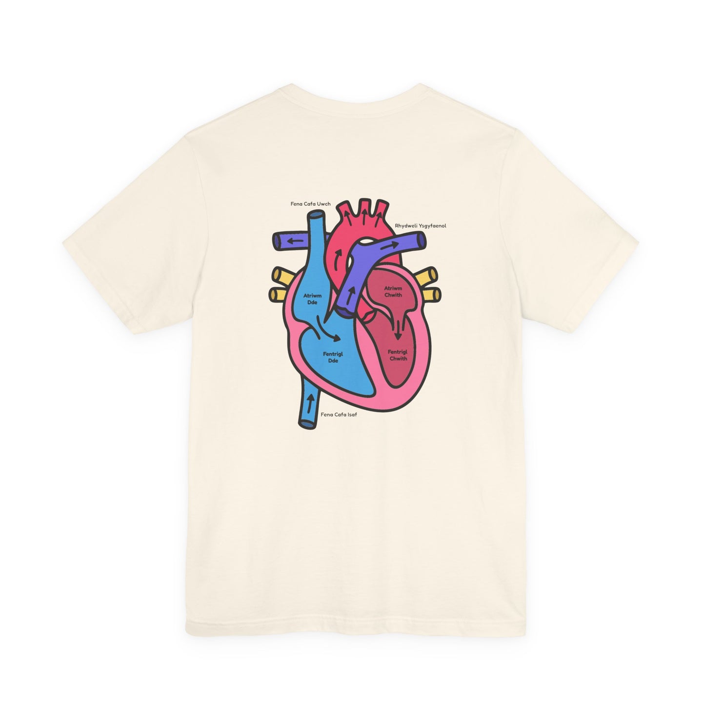 Anatomical Heart Graphic Tee — Welsh Labeled Heart Diagram T-Shirt