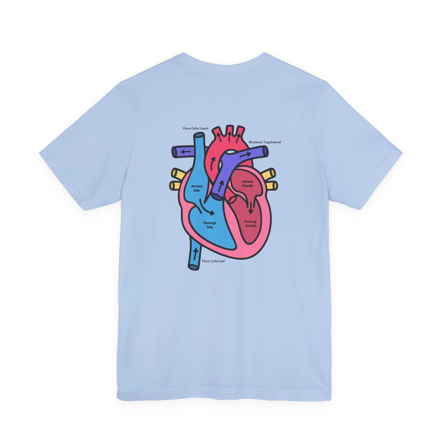 Anatomical Heart Graphic Tee — Welsh Labeled Heart Diagram T-Shirt