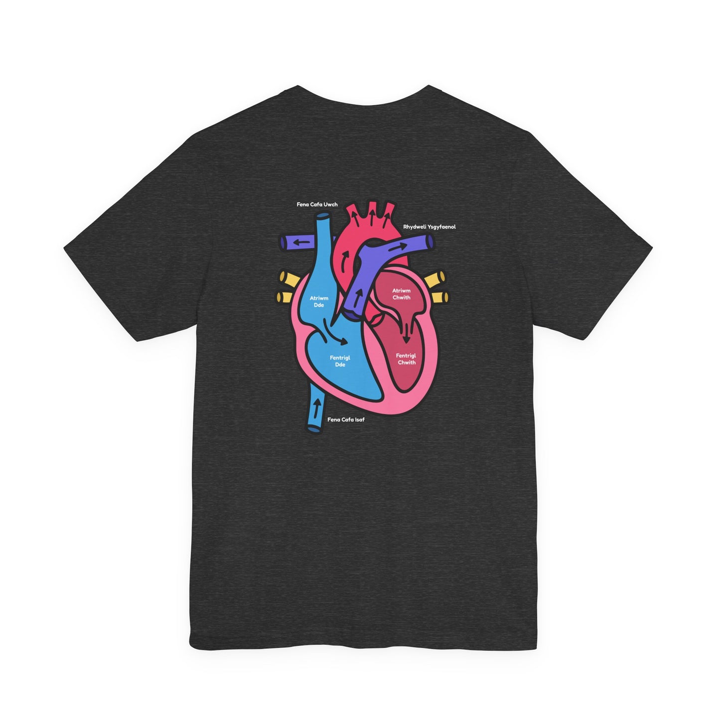 Anatomical Heart Graphic Tee - Welsh Labeled Heart Diagram T-Shirt