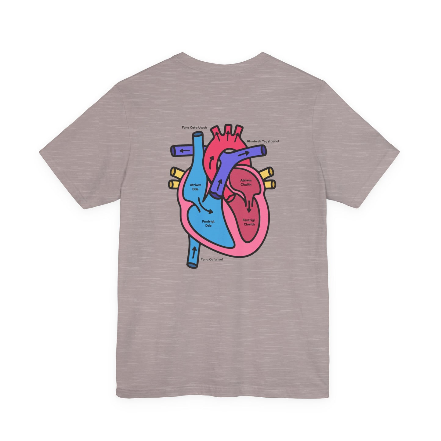Anatomical Heart Graphic Tee — Welsh Labeled Heart Diagram T-Shirt