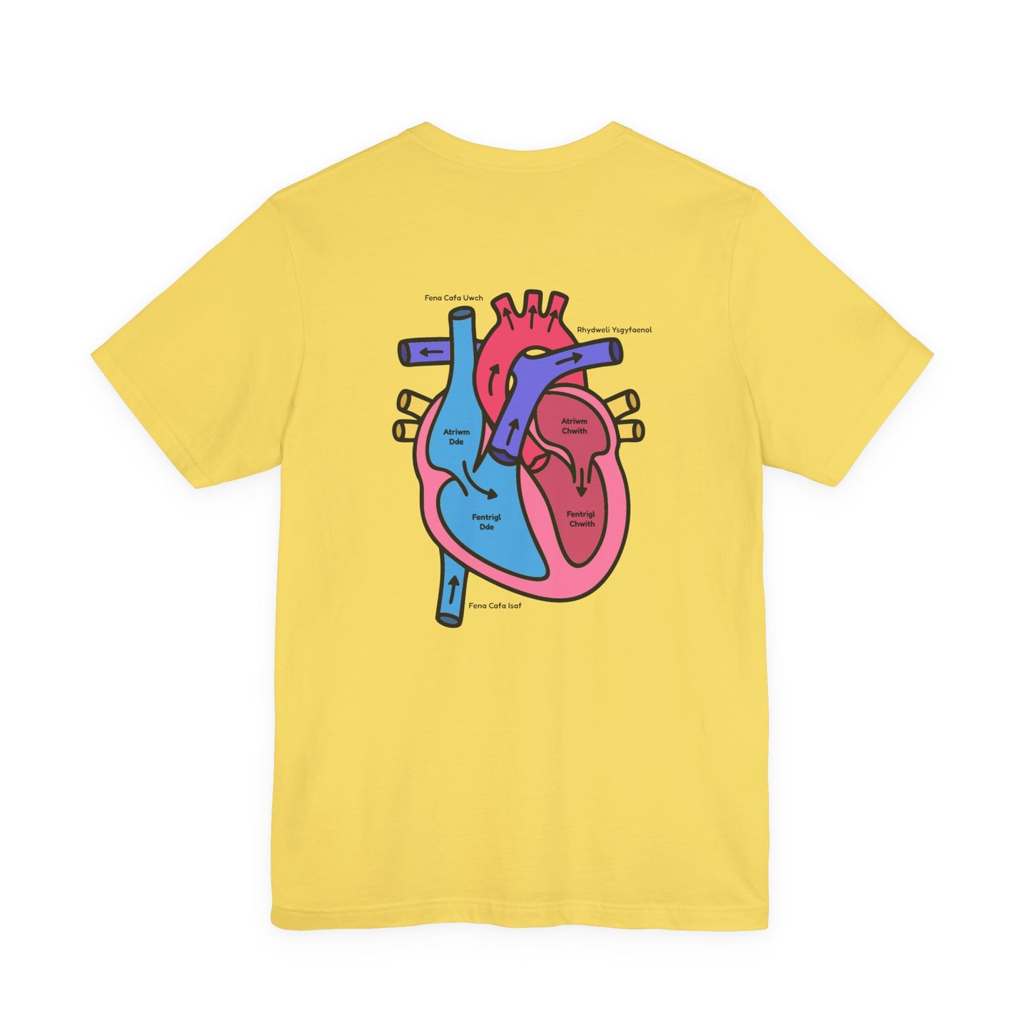 Anatomical Heart Graphic Tee — Welsh Labeled Heart Diagram T-Shirt