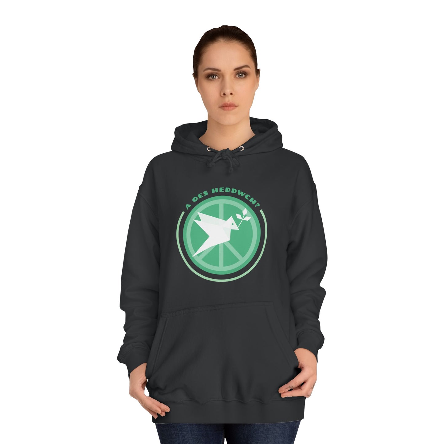 'A Oes Heddwch?' Retro Unisex Hoodie