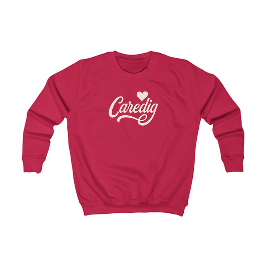 Kids "Caredig" Jumper  - Heart Graphic