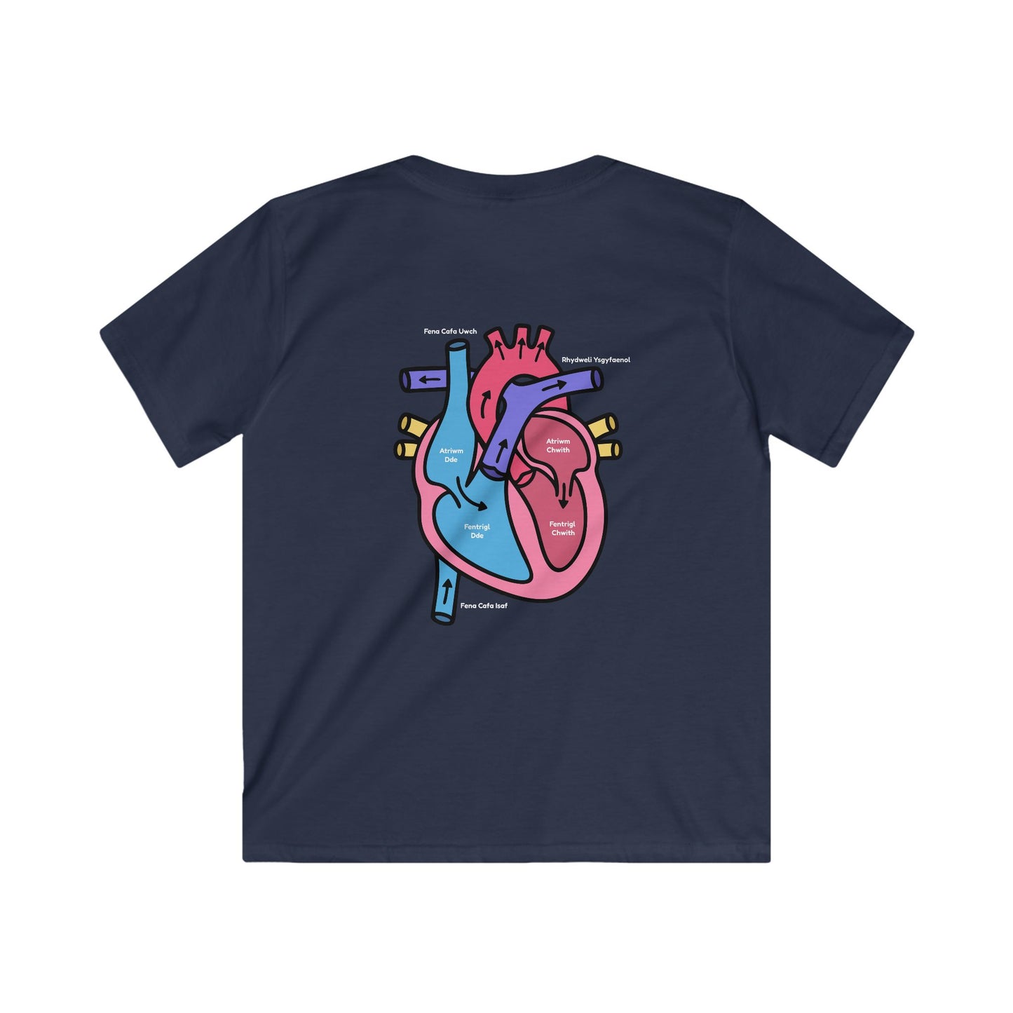 Kids Heart Anatomy Tee - Welsh Labeled Heart Diagram