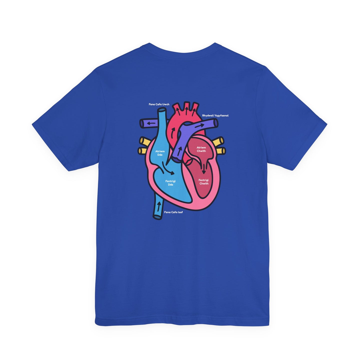 Anatomical Heart Graphic Tee — Welsh Labeled Heart Diagram T-Shirt