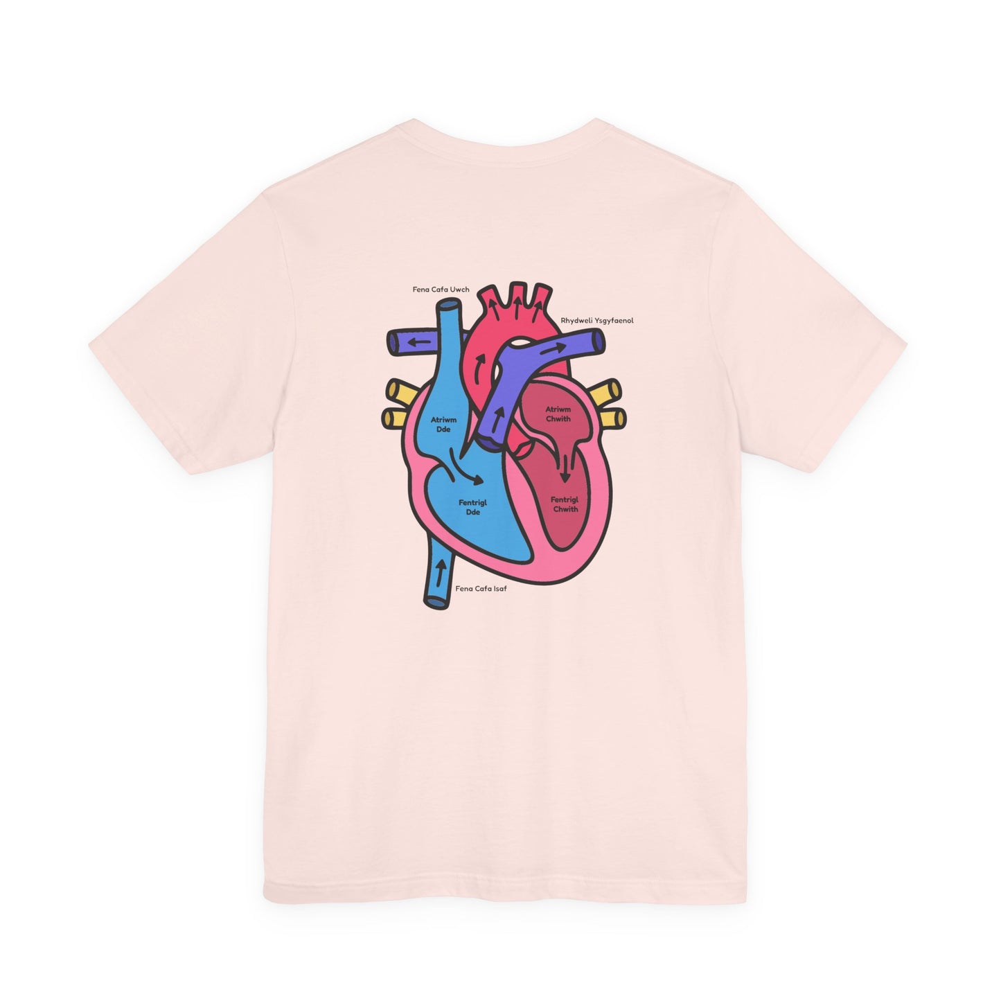 Anatomical Heart Graphic Tee — Welsh Labeled Heart Diagram T-Shirt