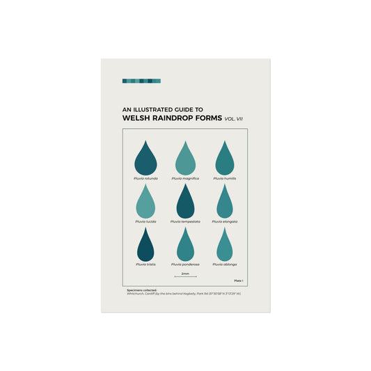 An Illustrated Guide To Welsh Raindrop Forms  — Vintage Taxonomy Art Print