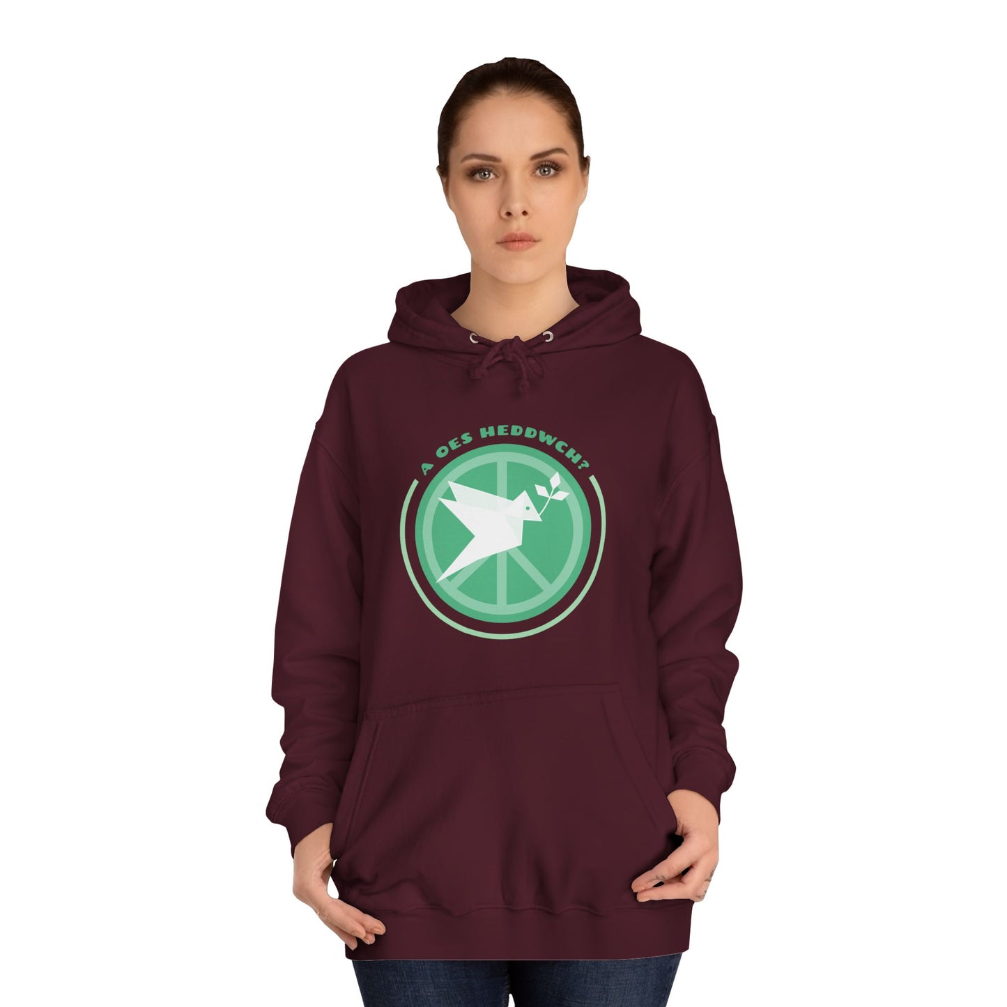 'A Oes Heddwch?' Retro Unisex Hoodie