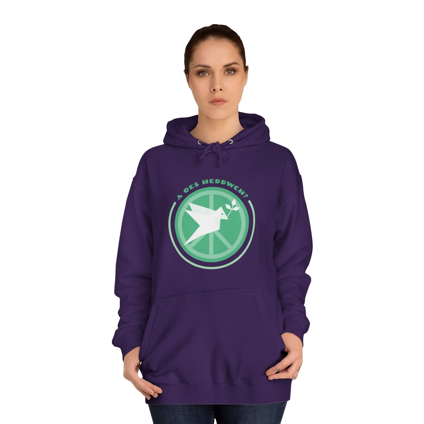 'A Oes Heddwch?' Retro Unisex Hoodie