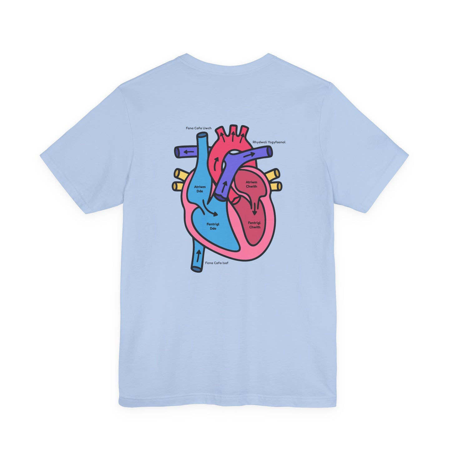 Anatomical Heart Graphic Tee - Welsh Labeled Heart Diagram T-Shirt