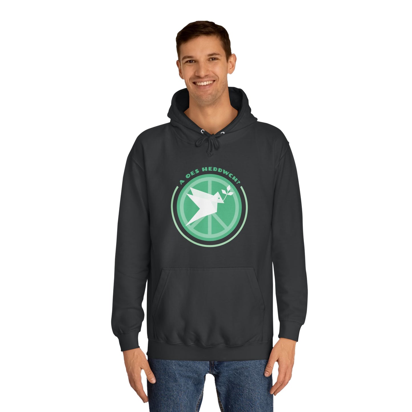 'A Oes Heddwch?' Retro Unisex Hoodie